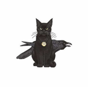 Photo Sculpture Crowfeather