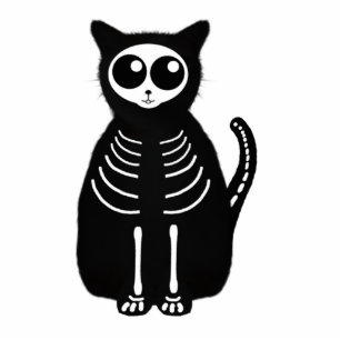 Photo Sculpture Cute Halloween Cartographier Chat Squelette