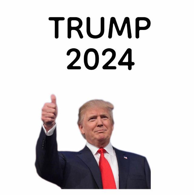 Photo Sculpture Donald Trump 2024 (Devant)