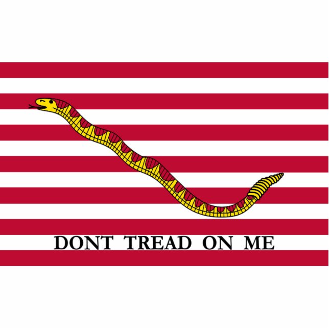 Photo Sculpture Dont Tread On Me - Pavillon Jack de la Marine (Devant)