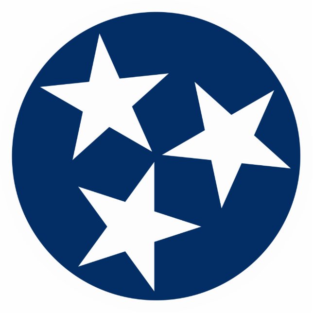 Photo Sculpture Drapeau d'état du Tennessee Bleu Blancs étoiles (Devant)