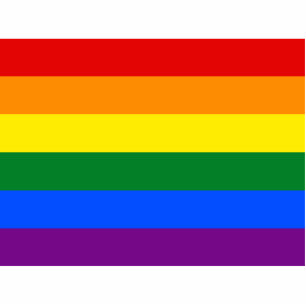 Photo Sculpture Drapeau du Gay pride arc-en-ciel LGBT