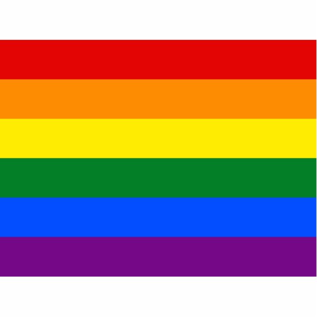 Photo Sculpture Drapeau Gay pride arc-en-ciel LGBT (Devant)