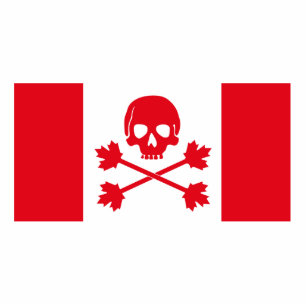 Photo Sculpture Drapeau pirate du Canada