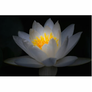 Photo Sculpture éclaircissement