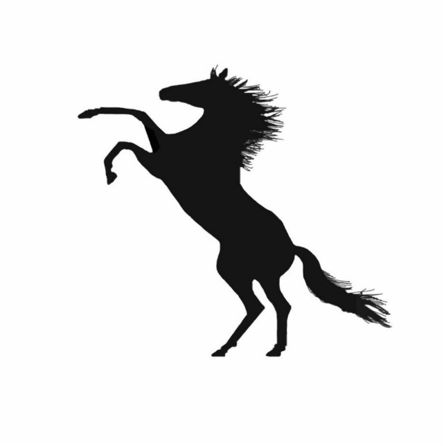 Photo Sculpture Élevage du cheval (Devant)