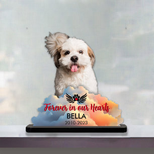 Photo Sculpture Famille Animaux de compagnie Photo Mémorial Sculpt