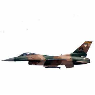 Photo Sculpture Faucon de combat de F-16 d'agresseur bronzage