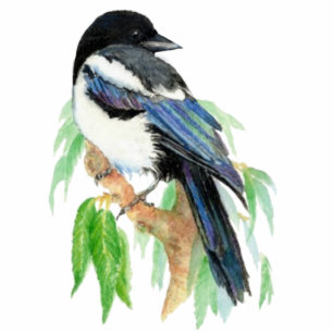 Photo Sculpture Faune d'oiseau de pie d'aquarelle, nature,