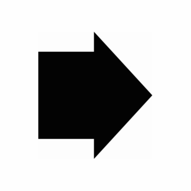 Photo Sculpture Flèche 3d (Devant)