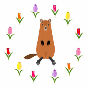 Photo Sculpture Fleurs de marmotte et de tulipe mignonnes