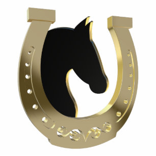 Photo Sculpture Golden horseshoe