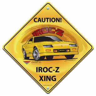 Photo Sculpture IROC84-2plain