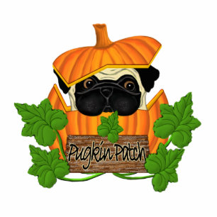 Photo Sculpture Joli Halloween Carlin d'automne Pugkin Citrouille 