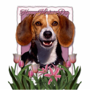 Photo Sculpture Jour de mères - tulipes roses - beagle
