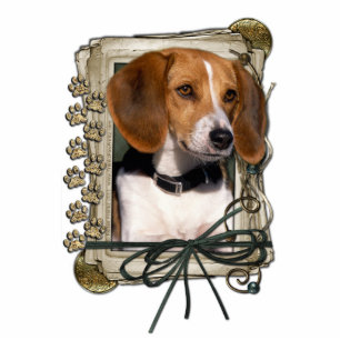 Photo Sculpture Joyeux anniversaire - pattes en pierre - beagle