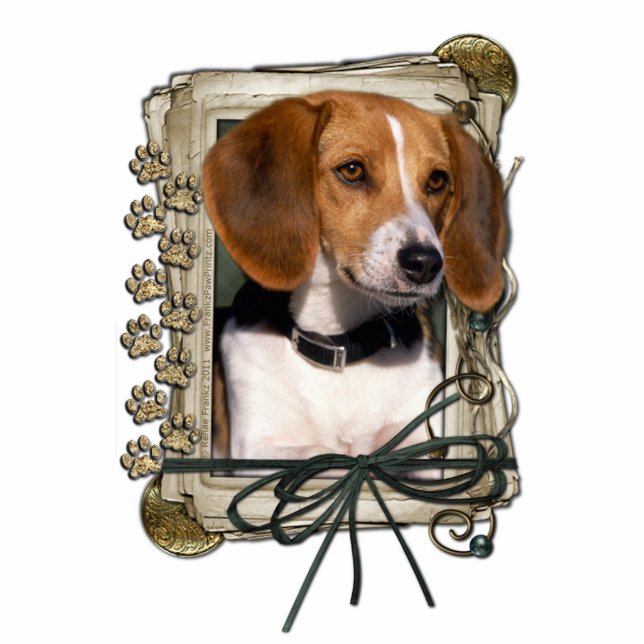 Photo Sculpture Joyeux anniversaire - pattes en pierre - beagle (Devant)