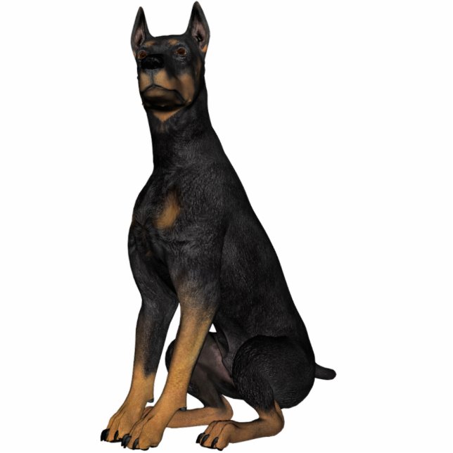 Photo Sculpture KRW Doberman Pinscher (Devant)