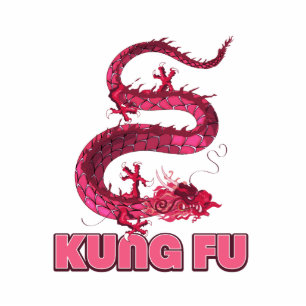 Photo Sculpture kung fu