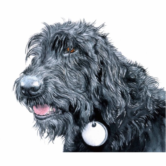 Photo Sculpture Labradoodle noir Scupture (Devant)