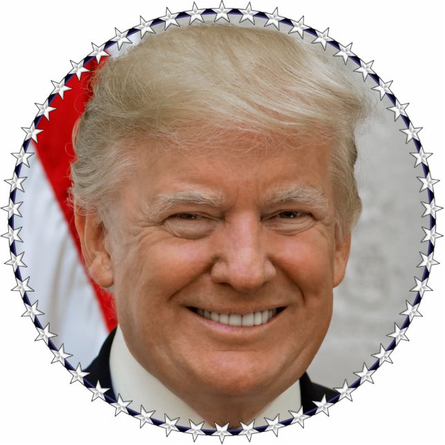 Photo Sculpture Le président Trump Portrait (Devant)
