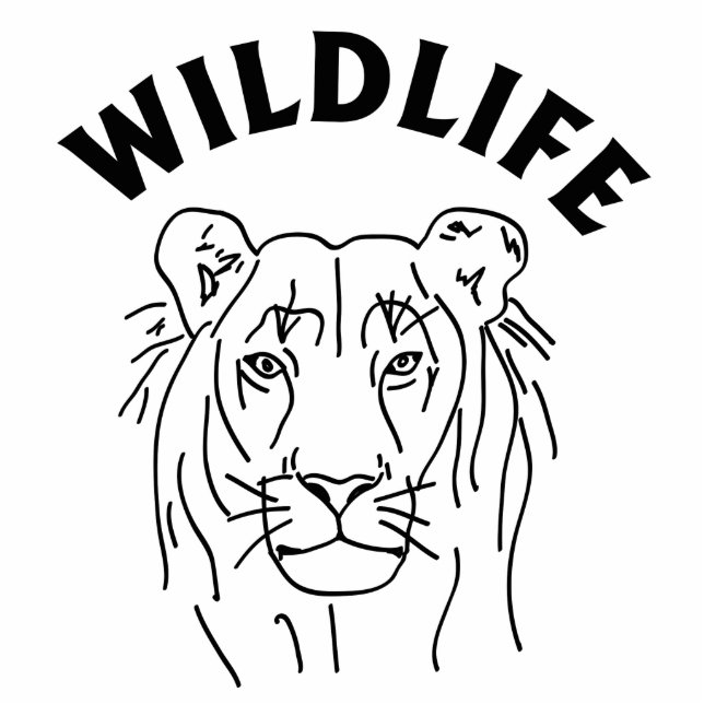 Photo Sculpture Lion (Devant)