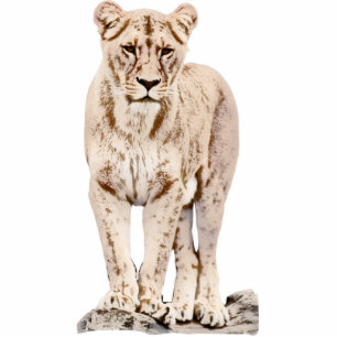 Photo Sculpture Lionne majestueuse