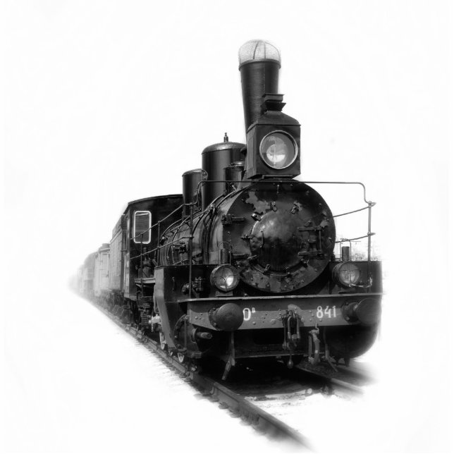 Photo Sculpture Locomotive à vapeur (Devant)
