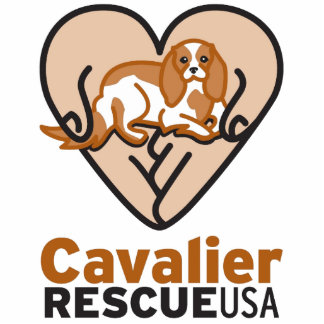 Photo Sculpture Logo cavalier des Etats-Unis de délivrance