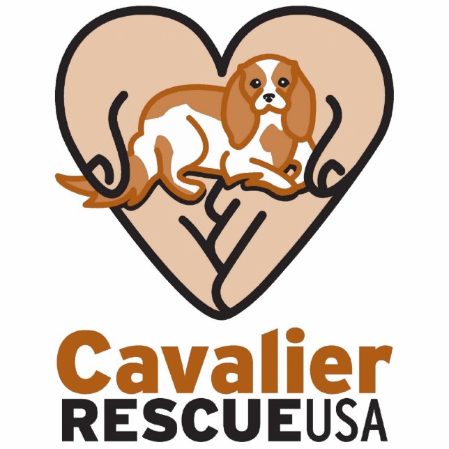 Photo Sculpture Logo cavalier des Etats-Unis de délivrance (Devant)