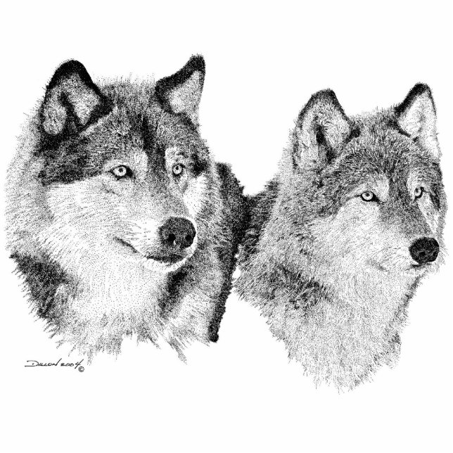 Photo Sculpture Loups (Devant)