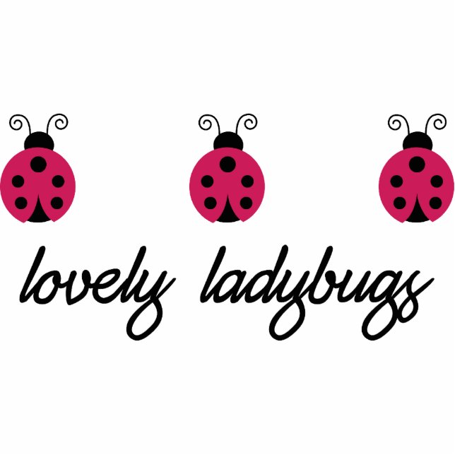 Photo Sculpture Lovely Ladybugs (Devant)