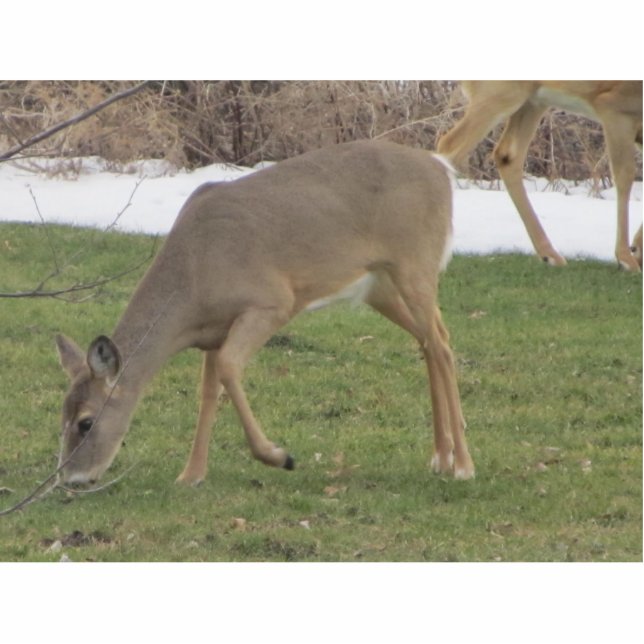 Photo Sculpture Mains de dieux (Devant)