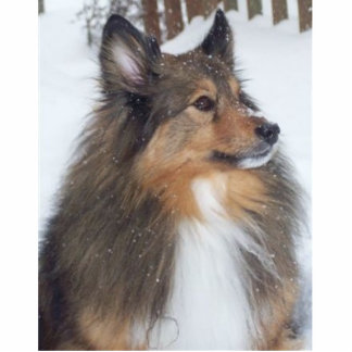 Photo Sculpture Max_1997_-_2009