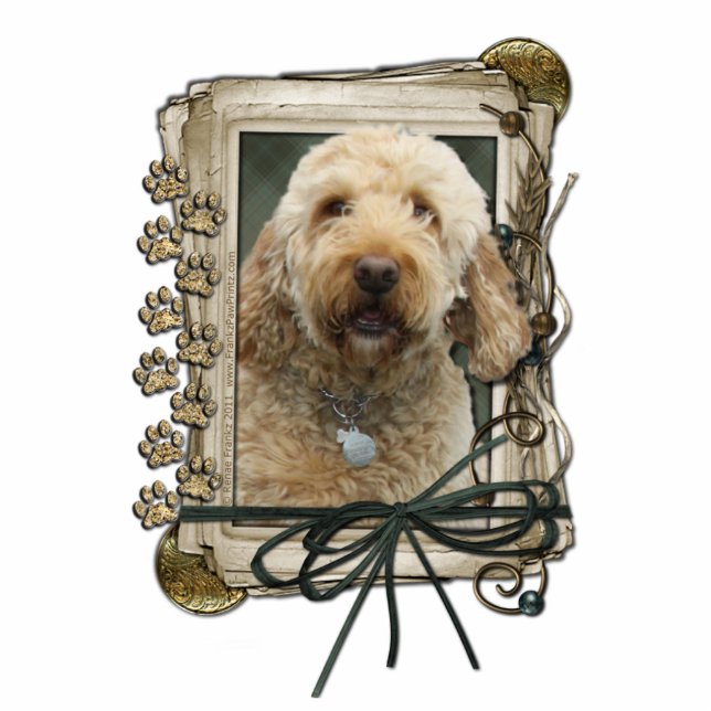 Photo Sculpture Merci - pattes en pierre - GoldenDoodle (Devant)