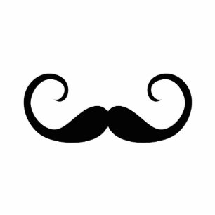 Photo Sculpture Mustache