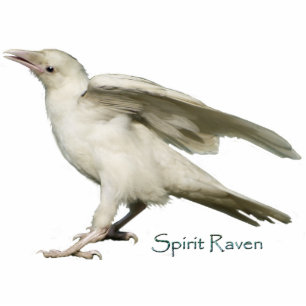Photo Sculpture Mystic White Raven Wildlife Sculpted Gift Item