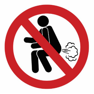 Photo Sculpture NO Farting ⚠ Funny Thai Toilet Sign ⚠