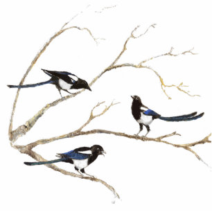 Photo Sculpture Oiseau de famille de pie, faune, nature, ornement
