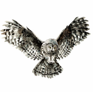 Photo Sculpture Oiseau fait sur commande de hibou de grand gris