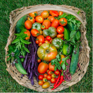 Photo Sculpture Panier de récolte de légumes