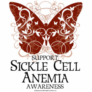 Photo Sculpture Papillon de drépanocytose