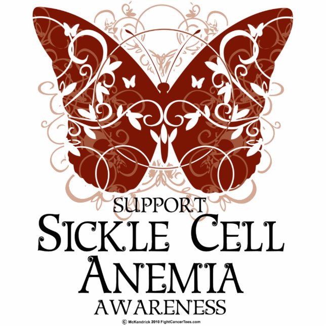 Photo Sculpture Papillon de drépanocytose (Devant)