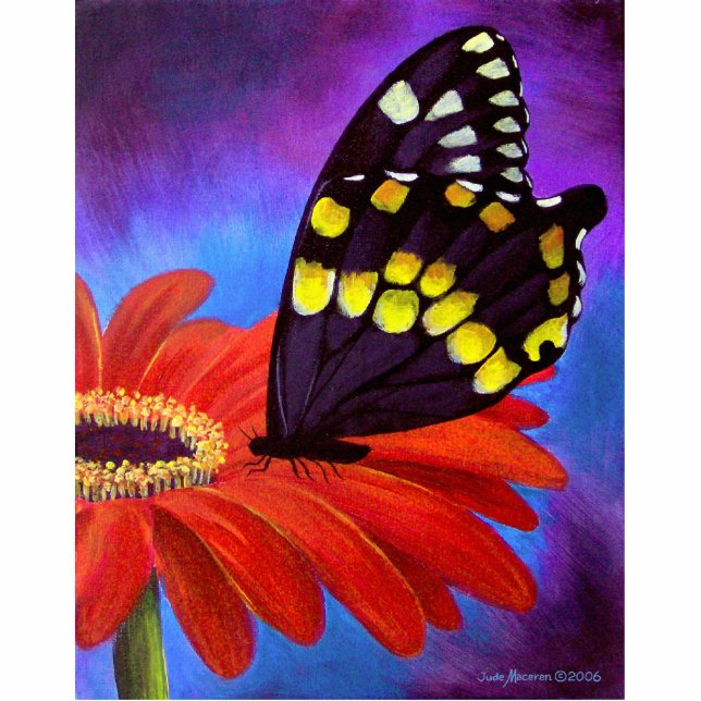 Photo Sculpture Peinture noire de marguerite de papillon - multi (Devant)