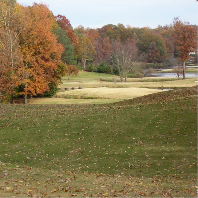 Photo Sculpture Photo d'automne du golf. (Devant)