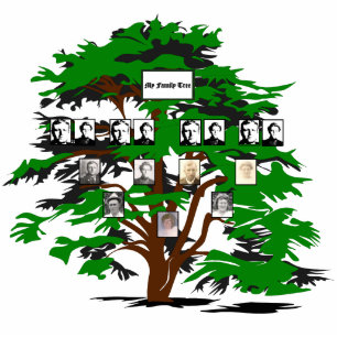 Photo Sculpture Photo Digital Green Family Tree de quatre générati