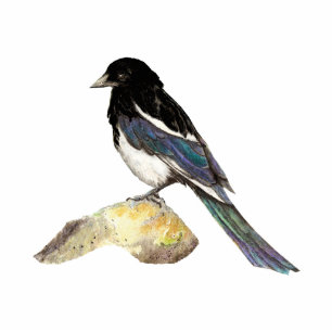 Photo Sculpture Pie, oiseau, faune, nature, ornement