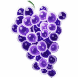 Photo Sculpture Raisins