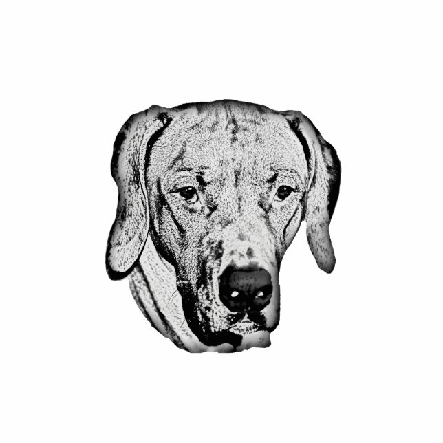 Photo Sculpture Rhodesian Ridgeback (Devant)