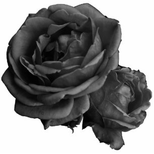 Photo Sculpture Rose gothique noir